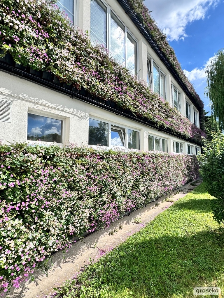 Zelená fasáda - Živá stěna Graseko_53_Realizace